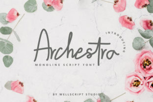 Archestra: A Refined Display Font for Thoughtful Craft and Design
