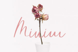 Minim: Sweet, Minimal, Elegant Script