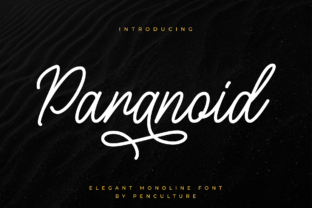 Paranoid: A Refined Mono Line Font for Precision and Personality
