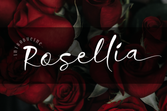Rosellia: Sharp, Distinct, Authentic
