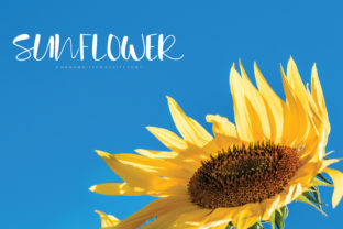 Sunflower: Handwritten Charm, Digitally Refined